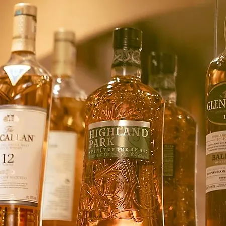 凯撒霍夫酒店 阿尼夫