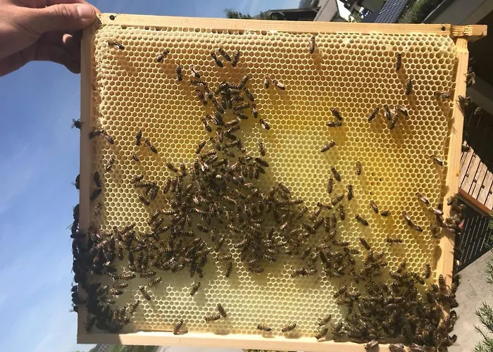 Kaiserhof Hotel Anif